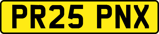 PR25PNX