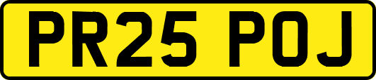 PR25POJ