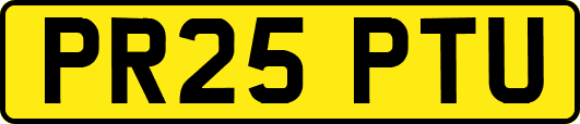 PR25PTU