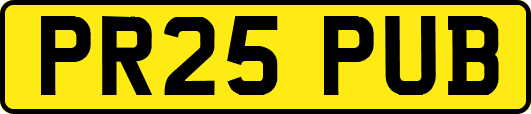 PR25PUB