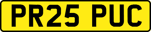 PR25PUC