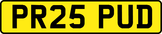 PR25PUD