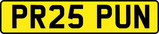 PR25PUN