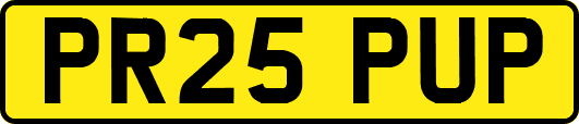 PR25PUP
