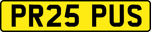 PR25PUS