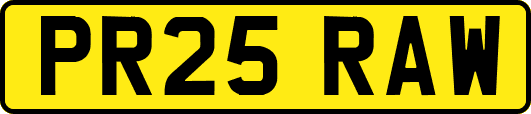 PR25RAW