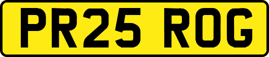 PR25ROG