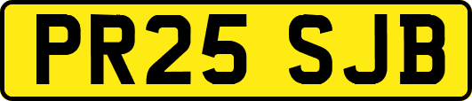 PR25SJB