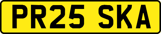 PR25SKA