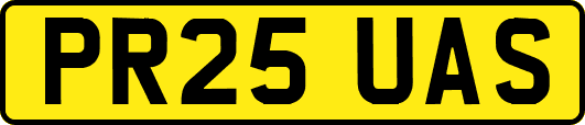 PR25UAS