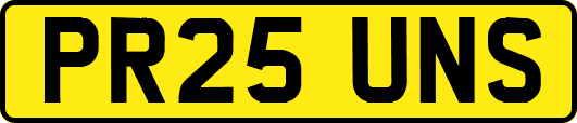 PR25UNS