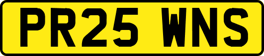 PR25WNS