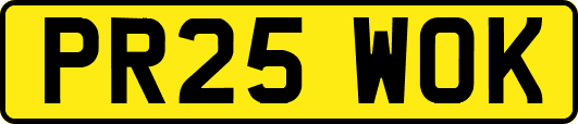PR25WOK