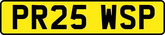 PR25WSP