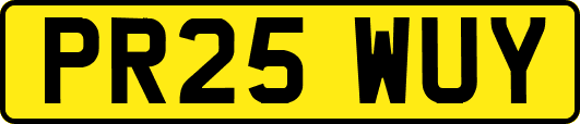 PR25WUY