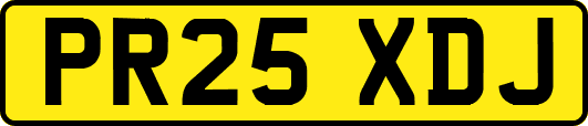 PR25XDJ