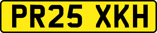 PR25XKH