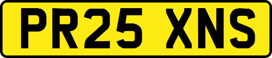 PR25XNS