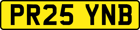 PR25YNB