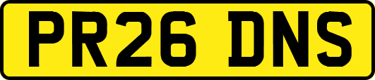 PR26DNS