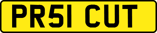 PR51CUT