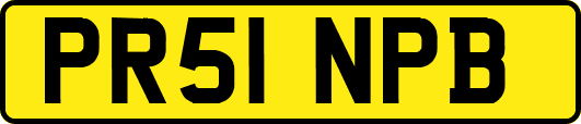 PR51NPB