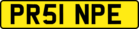 PR51NPE