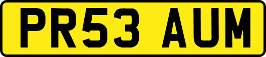 PR53AUM