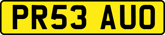 PR53AUO