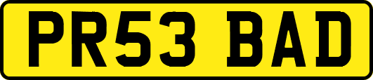 PR53BAD