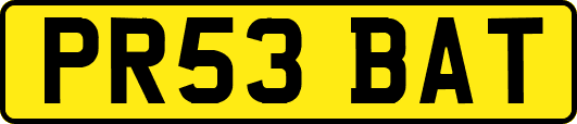 PR53BAT
