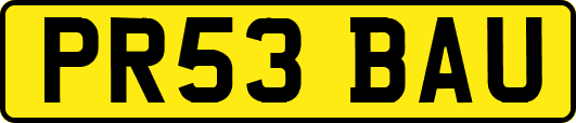 PR53BAU
