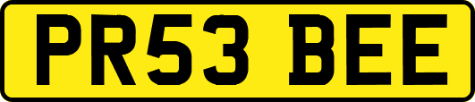 PR53BEE