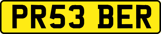 PR53BER