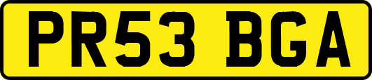 PR53BGA