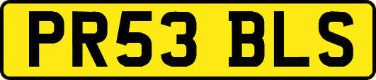 PR53BLS