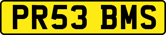 PR53BMS