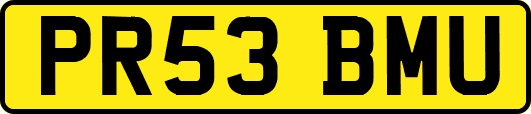 PR53BMU