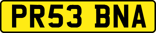 PR53BNA