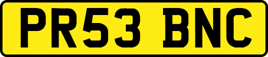 PR53BNC