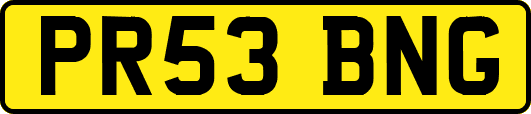 PR53BNG
