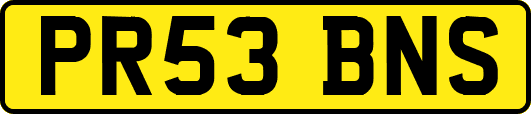 PR53BNS