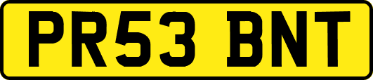 PR53BNT