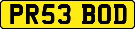 PR53BOD