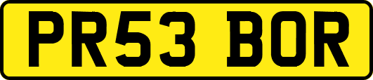 PR53BOR