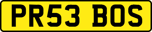 PR53BOS