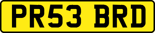 PR53BRD