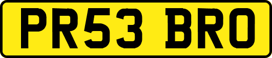 PR53BRO