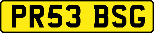 PR53BSG