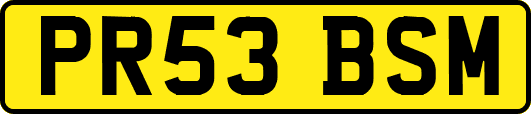 PR53BSM